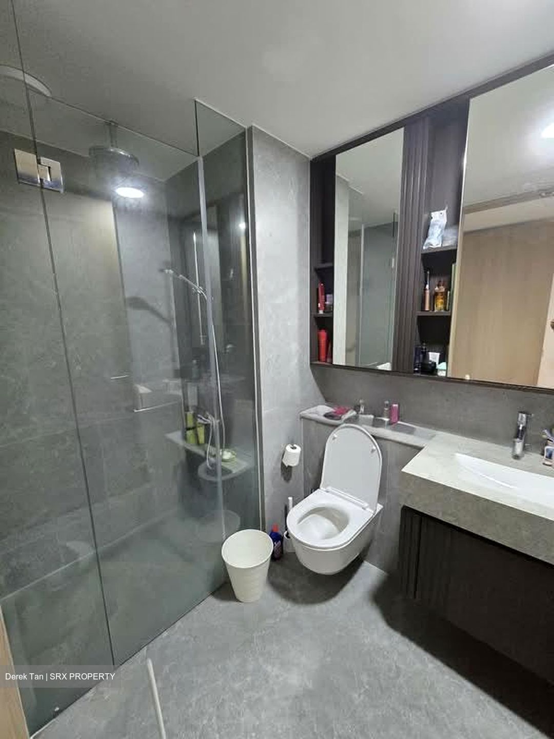 KI Residences at Brookvale (D21), Condominium #591297931